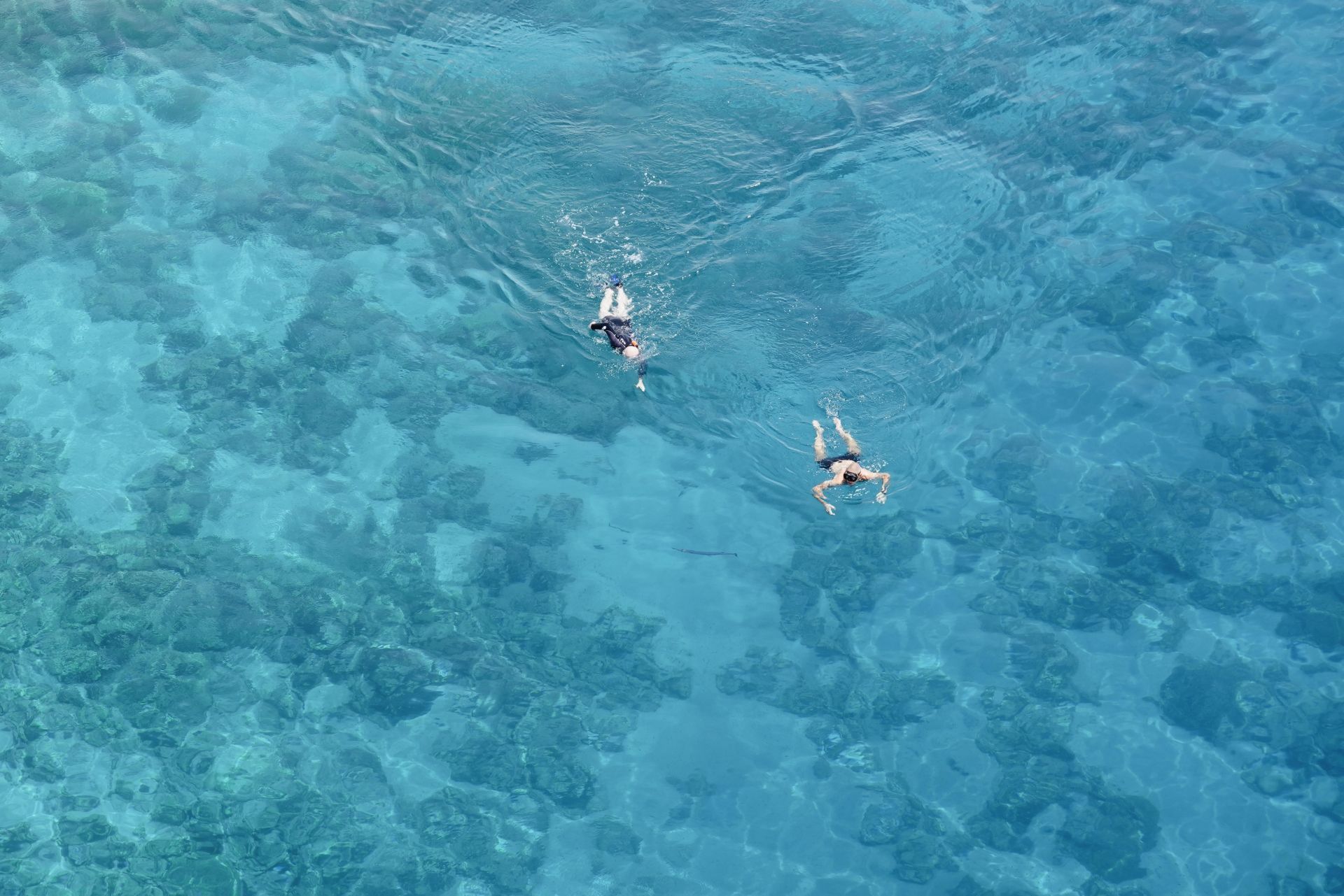 世界海洋日内容图片,世界海洋日海底世界