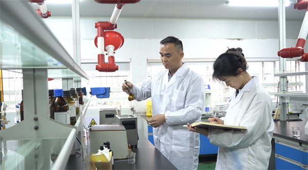 好young是什么,好young正青春内江大赛