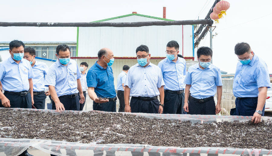 乡村发展小龙虾新闻,潜江小龙虾与乡村振兴