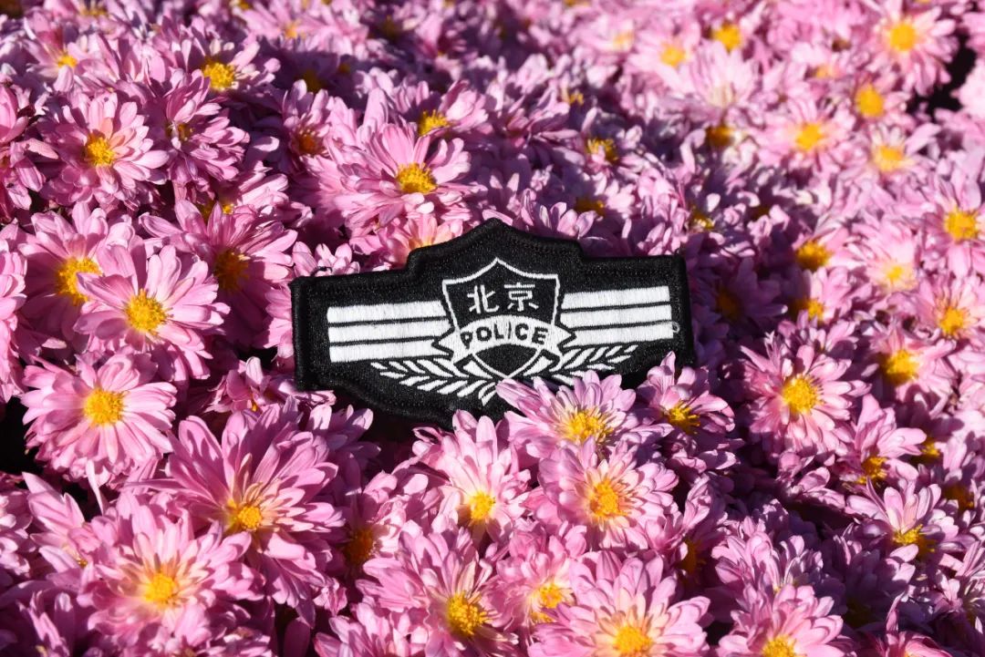 北京警察学院2021招生简章,北京警察学院招生简章2024