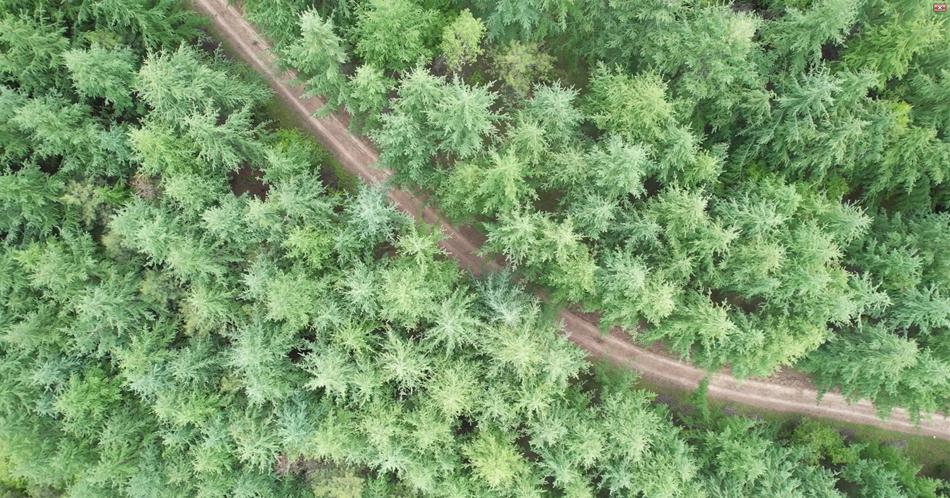 东山镇发展特色产业助贫困户增收,清水县乡村振兴