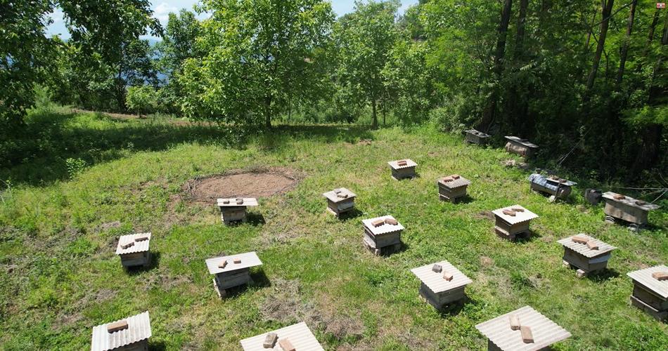 东山镇发展特色产业助贫困户增收,清水县乡村振兴