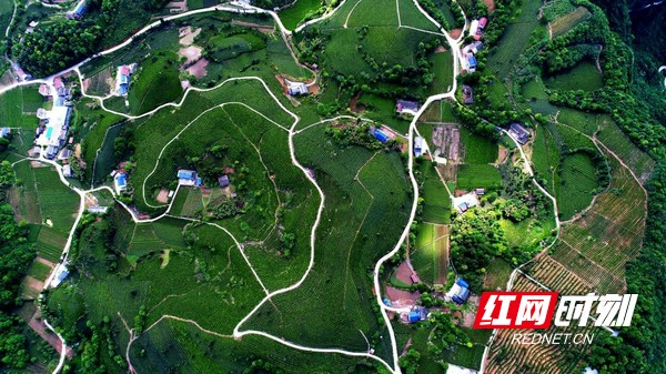 宜都农产品区域品牌征集结果,宜都公开征集农产品广告语