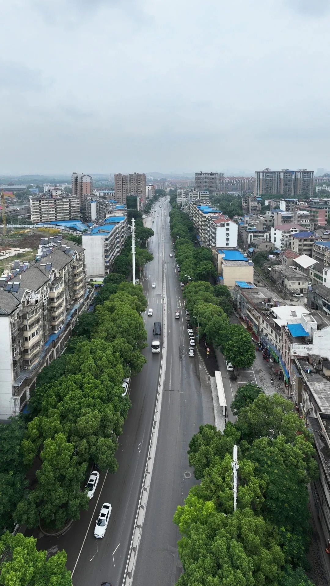 寻找鄂城最美村落｜泽林：云梦泽畔多芳草