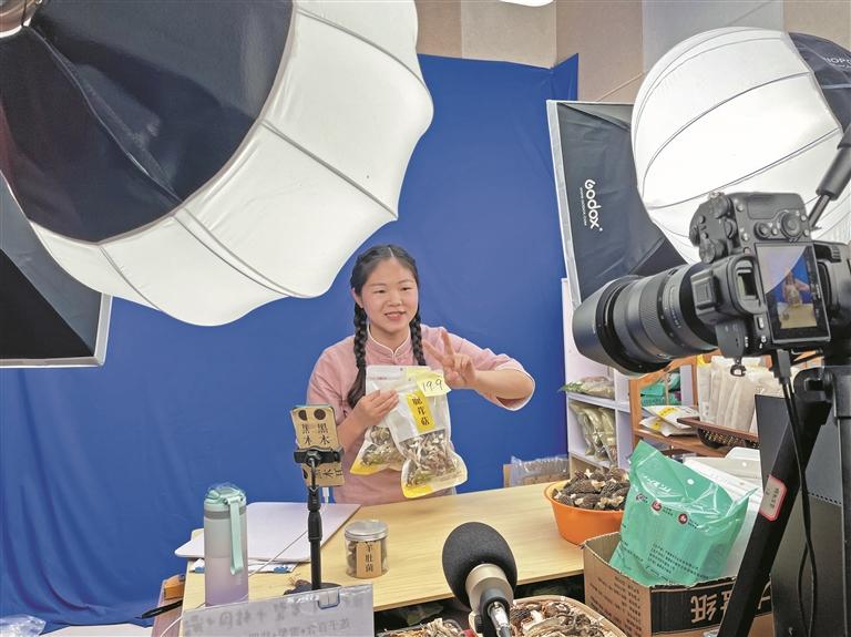 屏南电商发展情况,发展高质量电商构建新经济格局