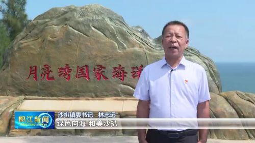 镇村书记谈百千万丨沙扒：以实施“百千万工程”为契机谱写中心镇高质量发展新篇章