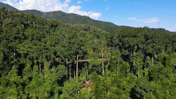 有一种叫云南的旅行,有一种旅行叫云南之旅