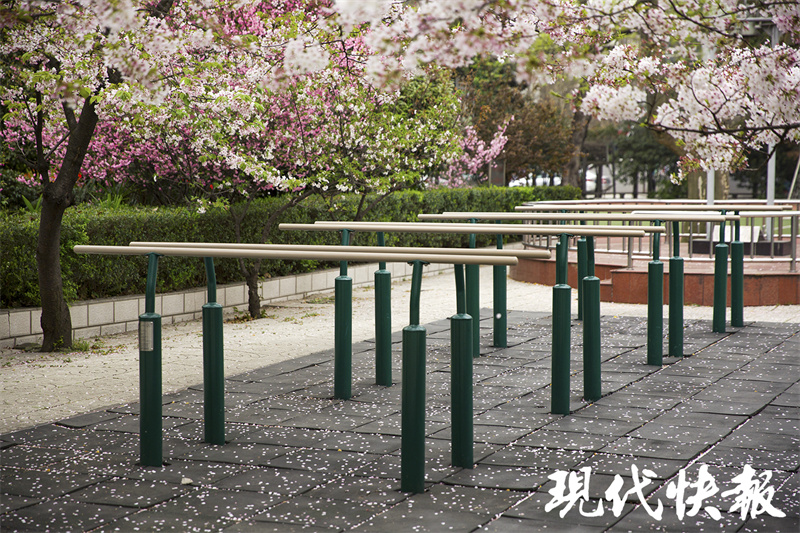 南京九中开学准备,南京九中入学条件