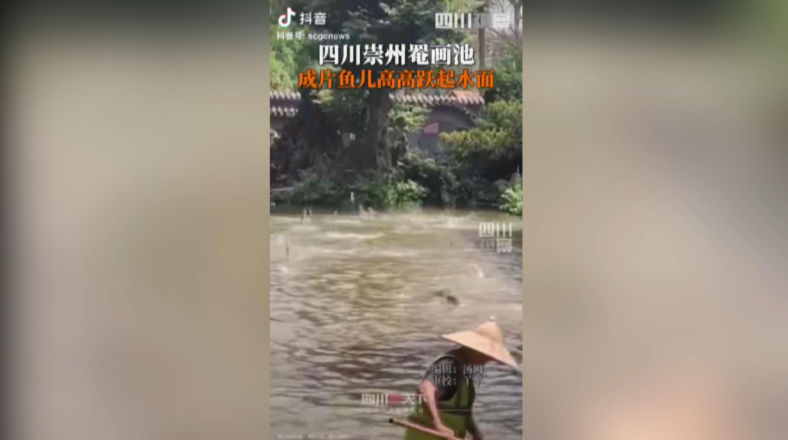 鱼跃水面有什么征兆,鱼跃水面是什么征兆