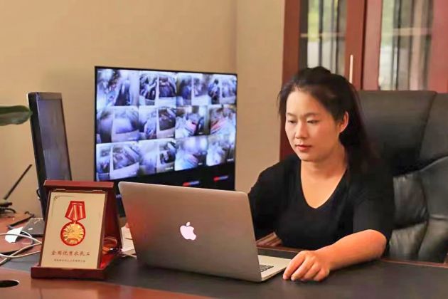 昌宁：“小”*款贷**助圆“大”梦想