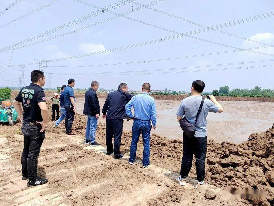 永久基本农田挖鱼塘违法吗,乱占耕地挖鱼塘最新规定