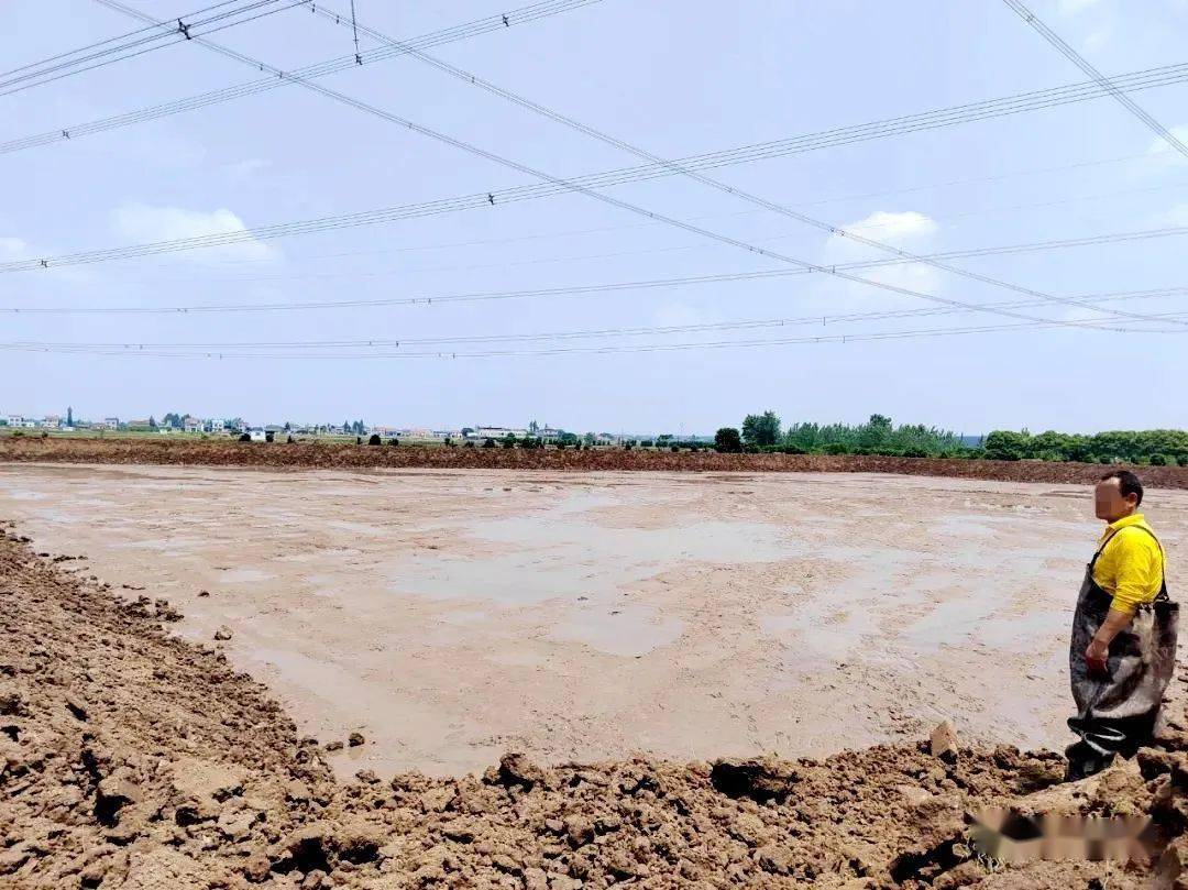 永久基本农田挖鱼塘违法吗,乱占耕地挖鱼塘最新规定