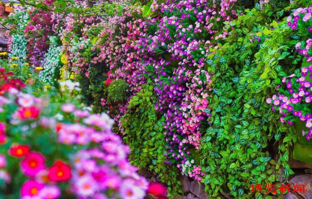 山东淄博网红打卡排行榜,淄博网红打卡地免费景点线路图