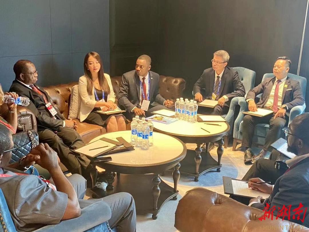 强合作、促共赢！喀麦隆经济论坛在长沙举行