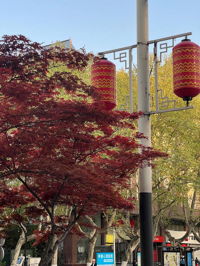 2023.04南京5日闲