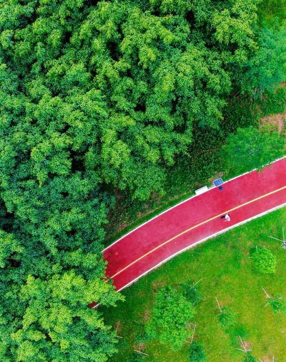 东莞暑期旅游推荐,东莞半日游最佳景点