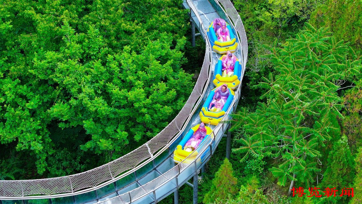 节气里的淄博︱小暑:荷花香万物长时有微凉不是风