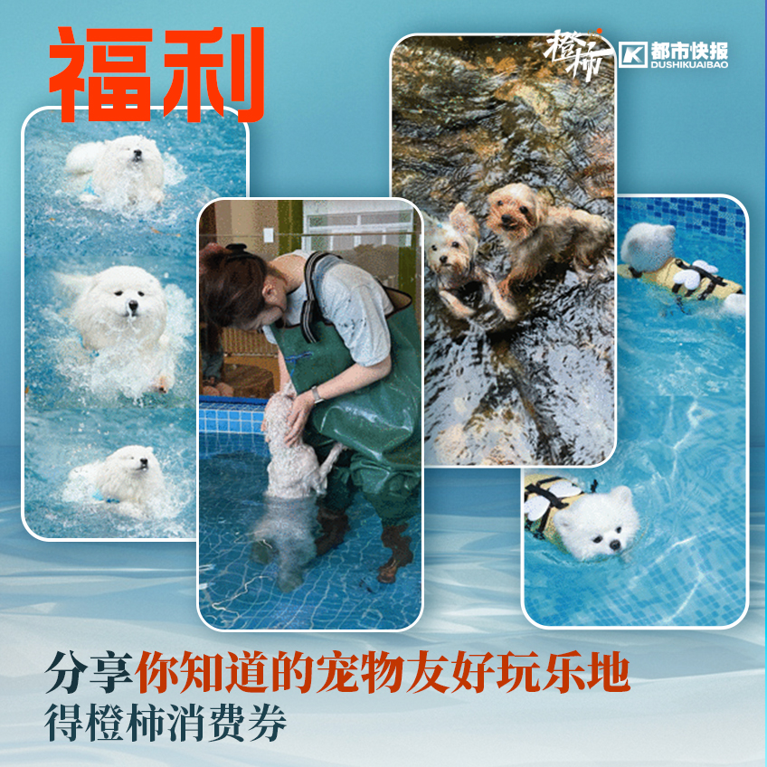 跟着它打卡杭城秘境，探寻人文历史，晒新书送西湖游船票｜橙柿福利