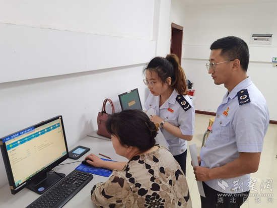 湖北税务零申报流程详细,税务一键零申报