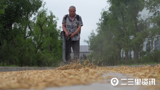 【创业100】黄花菜大产业，大荔黄花集团总经理：力争销售破亿元