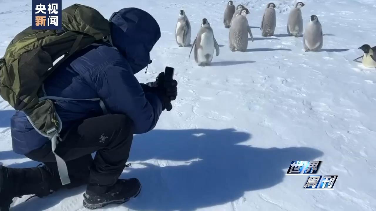泰坦的魔咒,泰坦魔咒梦境