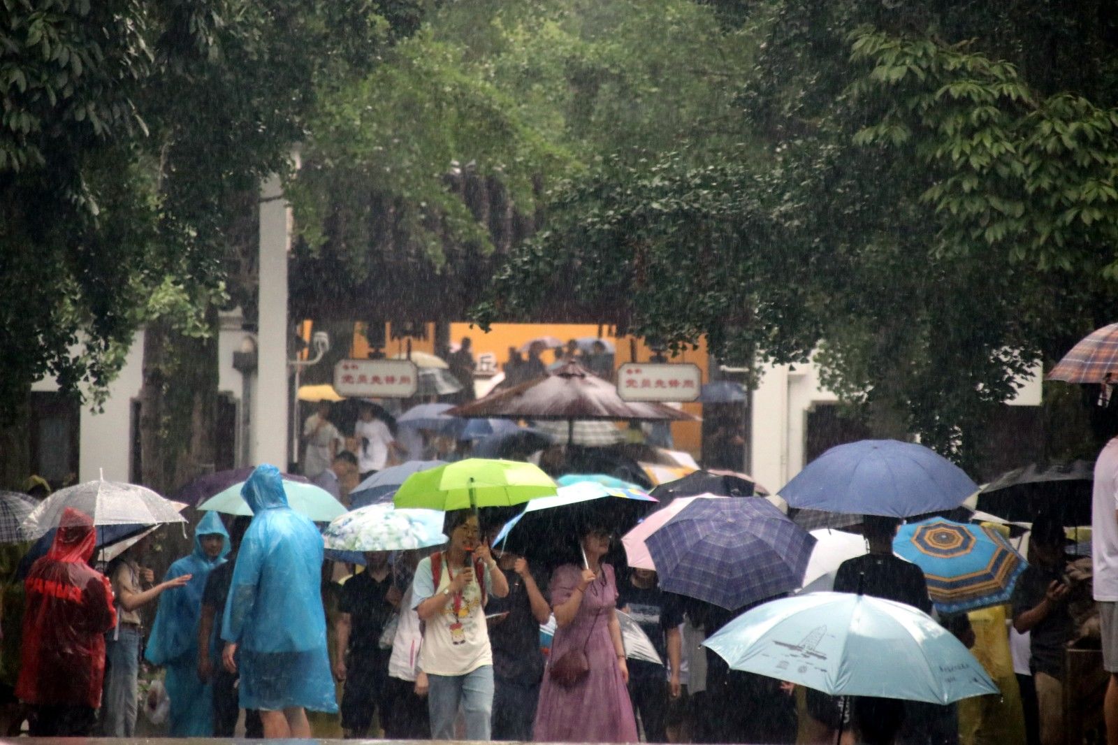 江苏苏州虎丘夜游首秀,苏州风景如诗如画