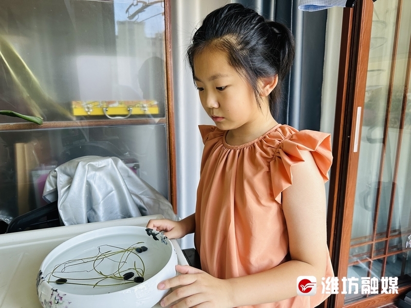 暑假作业简单玩法,暑假作业多怎么天天玩