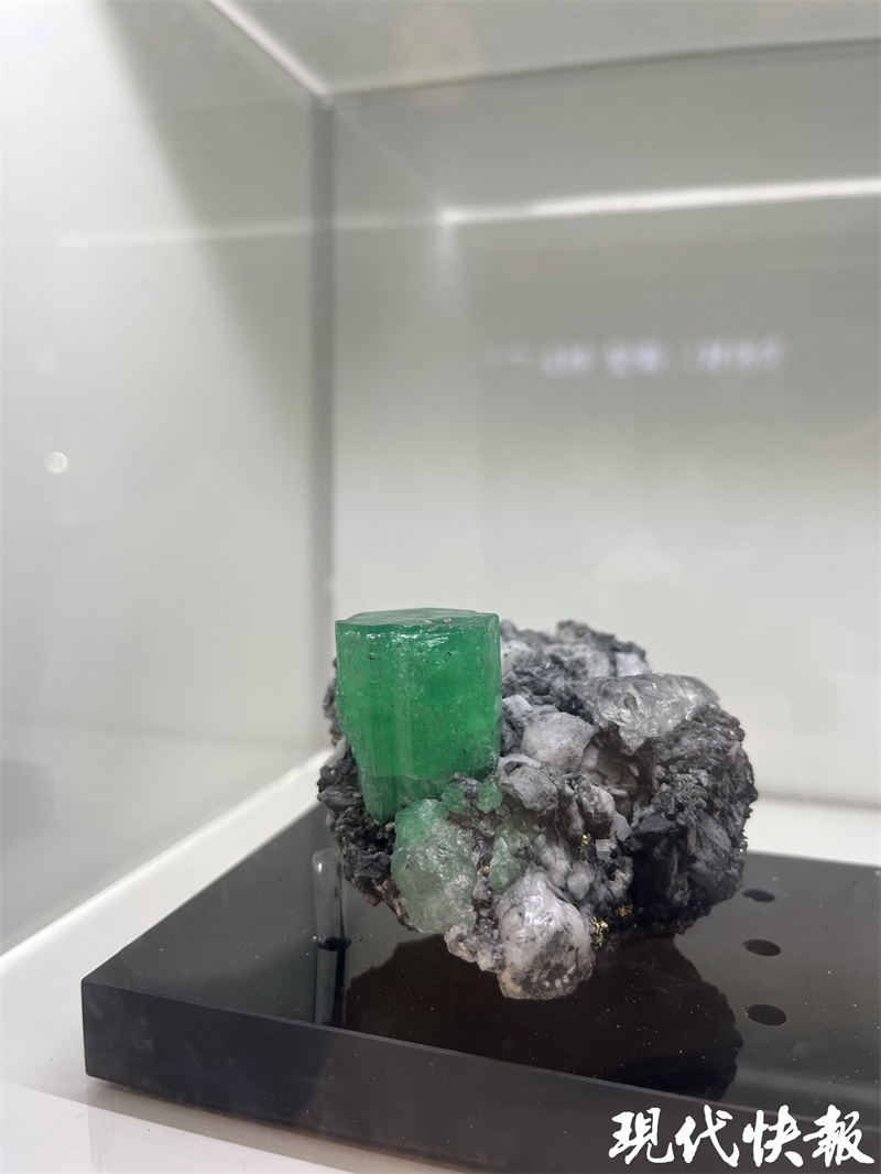 企业家变身科普达人：在孩子们心中种下科学探索的种子