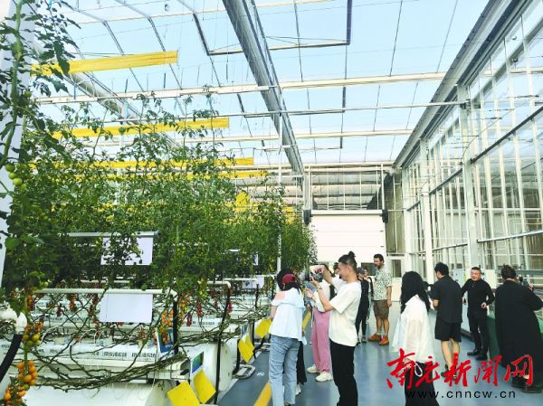 南充嘉陵江生态旅游道,嘉陵江旅游风景道