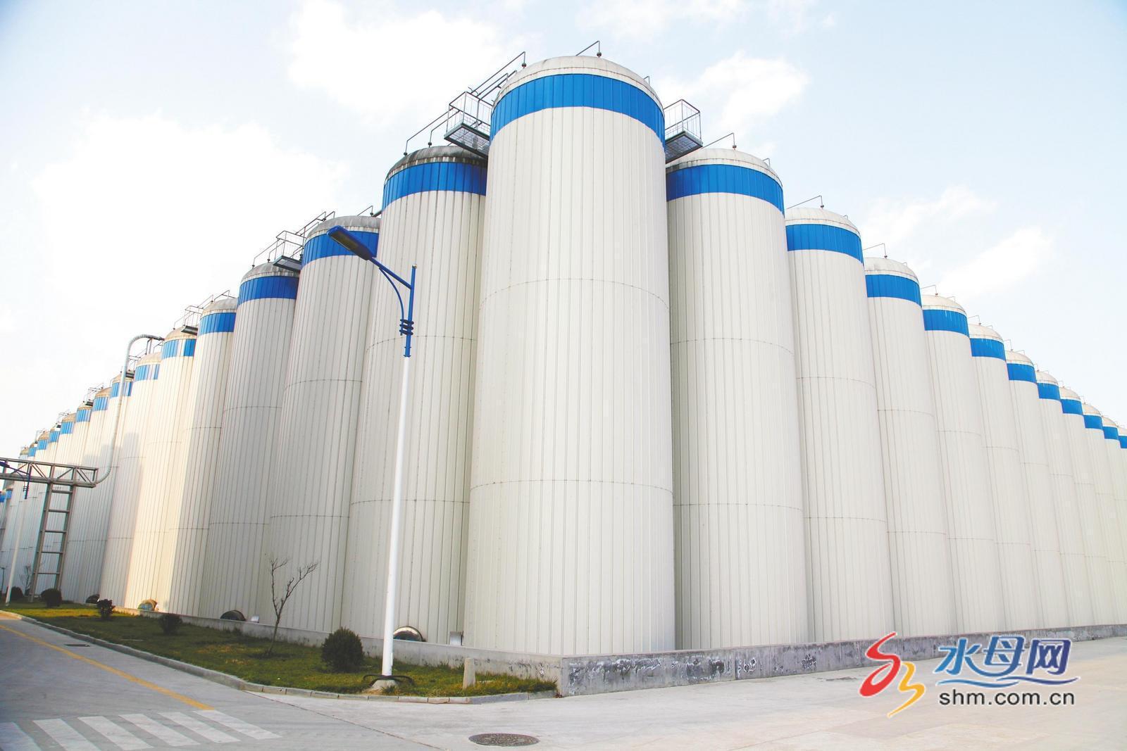 品重烟台|欣和：以“匠心”酿好“酱”