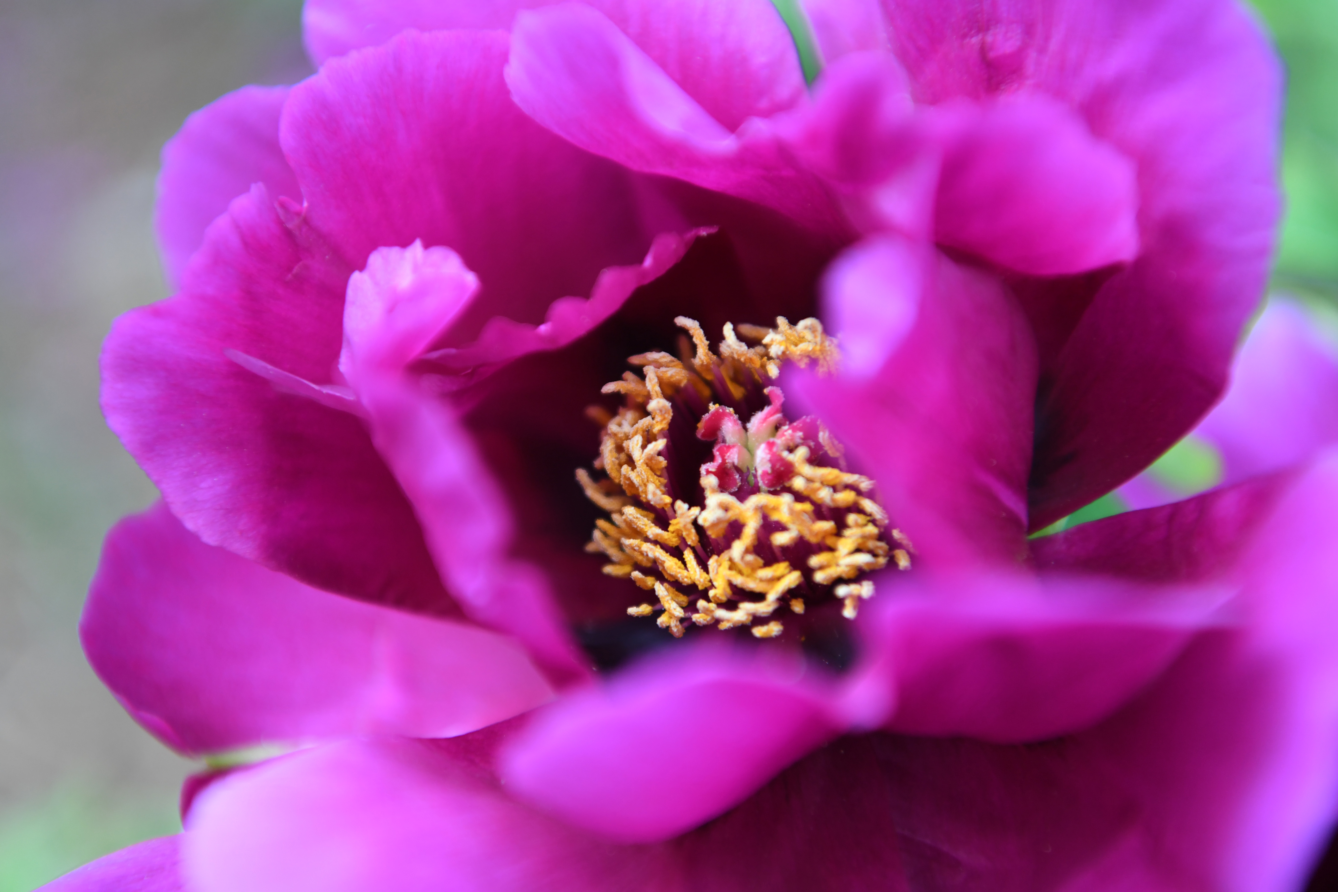 疑是洛川神女作书法,疑是洛川神女作的解释