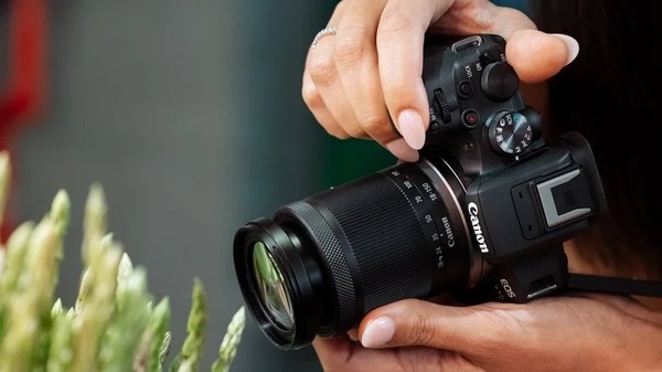 尼康富士佳能索尼哪个相机好,相机推荐新手入门微单佳能