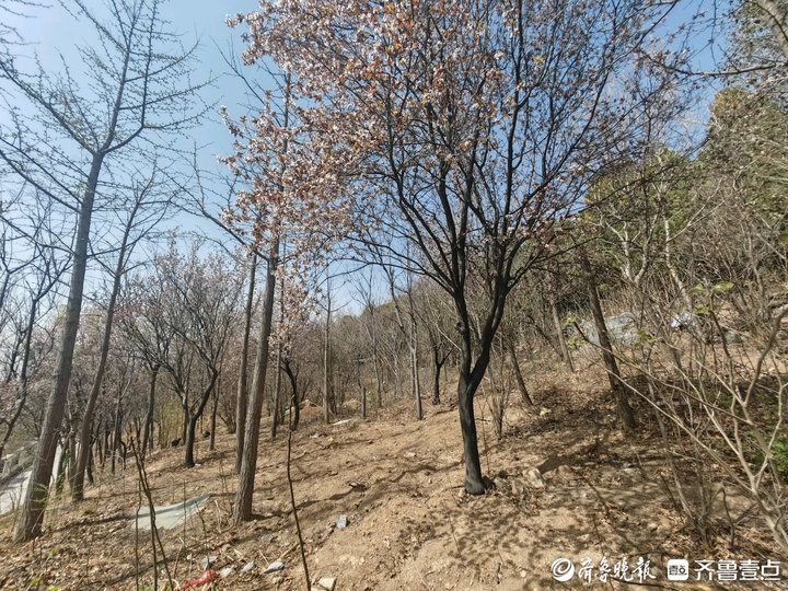 小区旁冒出墓地,小区惊现墓地房