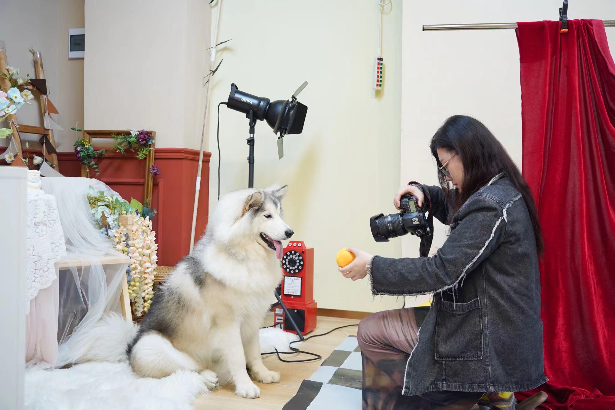 你就宠他吧谐音,你就宠他吧在线阅读