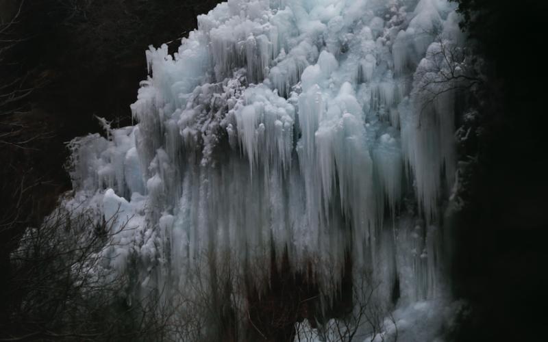 龙年寻龙龙泉,龙年寻龙景区