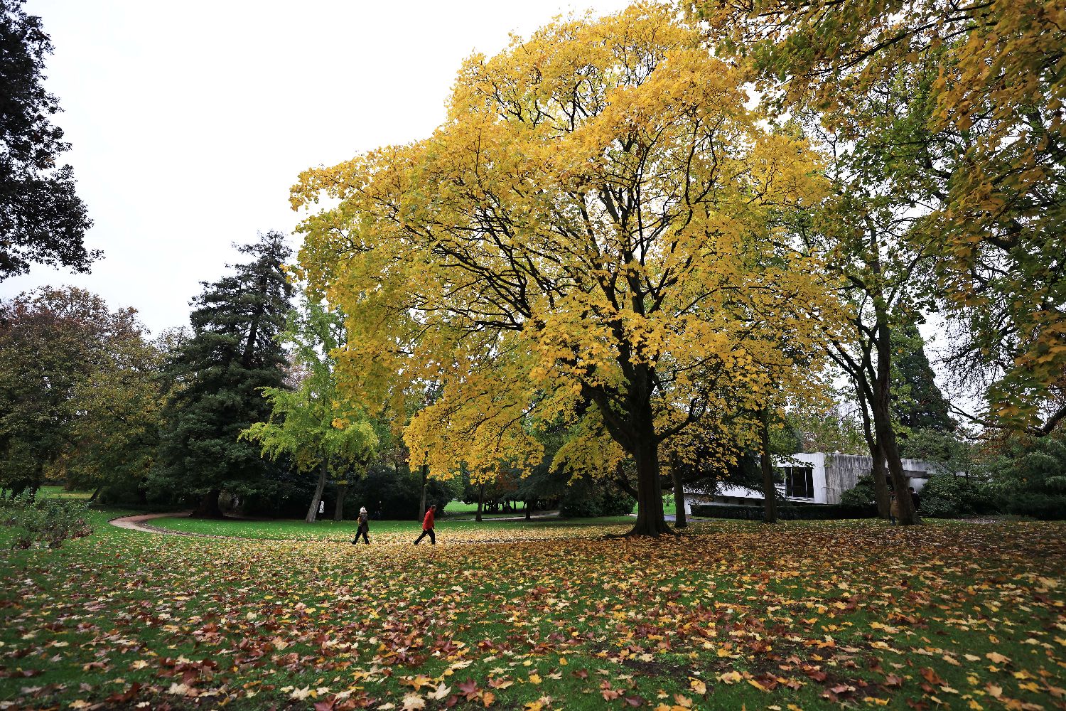法国巴黎春天般的草木气息,法国巴黎绝美的景色