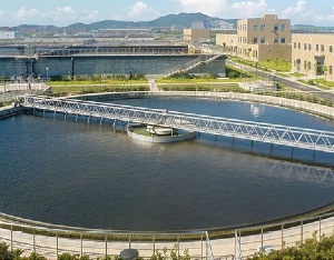 美丽中国建设绿色行动,美丽中国生态建设成就