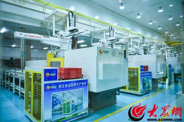 西王集团发展,西王集团玉米产业链项目