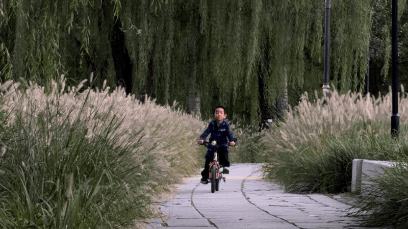 iphone15promax5倍长焦摄影技巧,5倍长焦拍人像