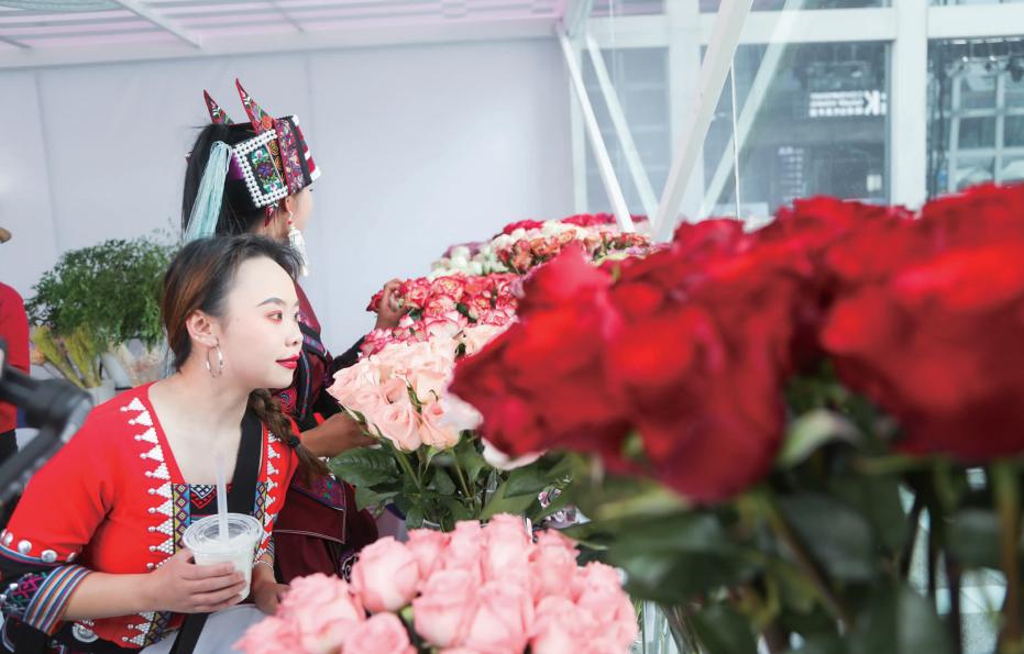 茶咖网络文化周,茶咖文化周1903