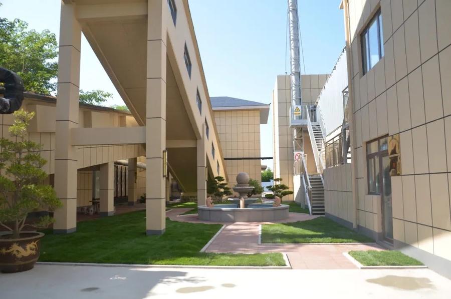 山东黄金青岛,山东黄金怎么盈利的