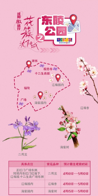 沈阳樱花拍照打卡,沈阳赏花打卡地