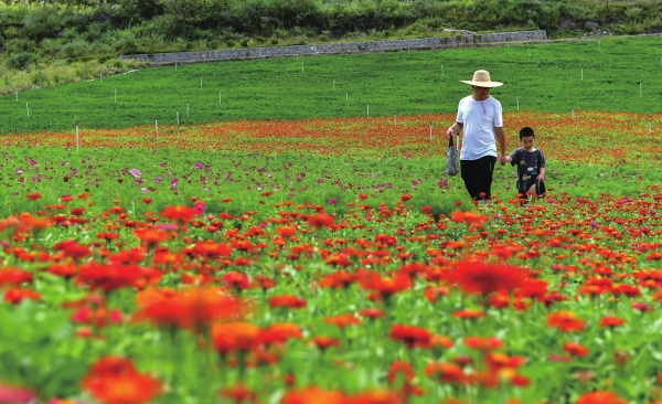 世界锑都锡矿山风景美如画,世界锑都锡矿山纪录片第五集