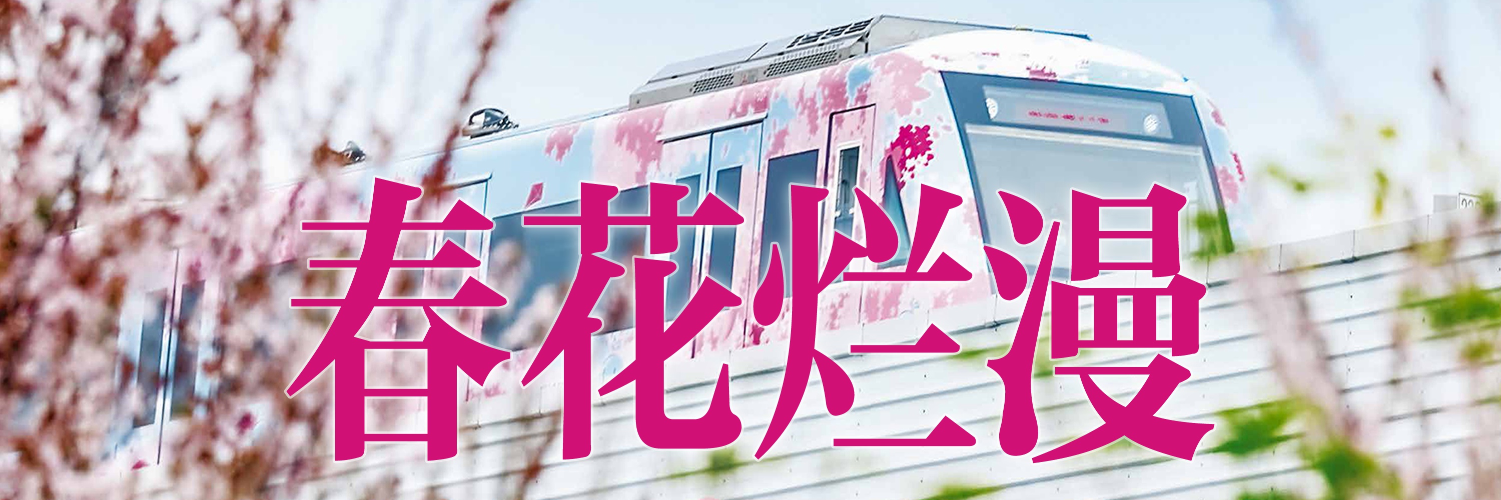 宋韵水上婚礼绍兴,宋韵水上婚礼