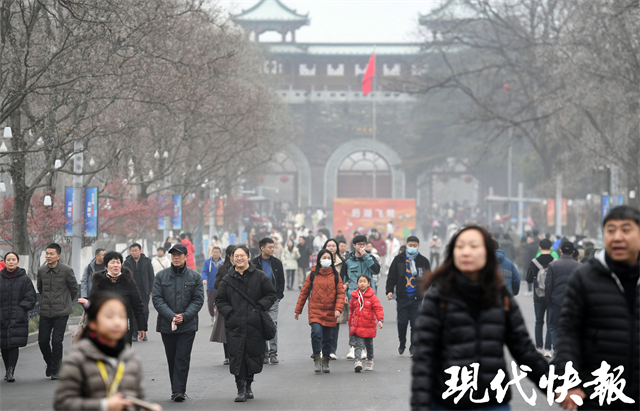 南京市五一各大景点接待游客,南京新年旅游景点