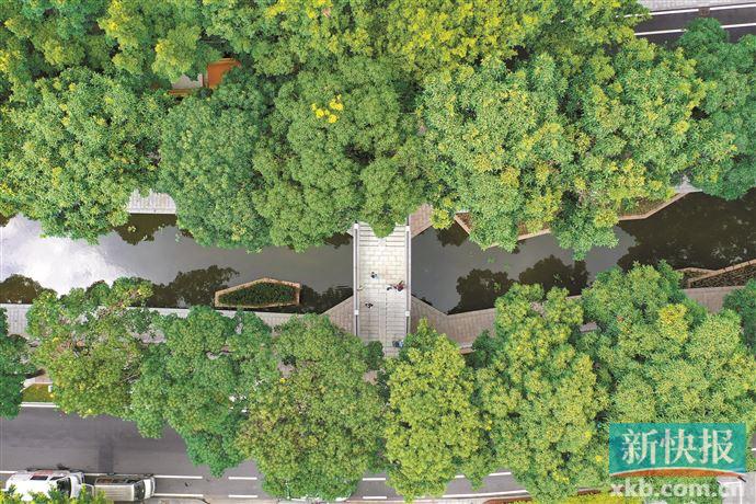 强优势补短板谱写强省建设新篇章,推动产融合作越秀跑出发展加速度