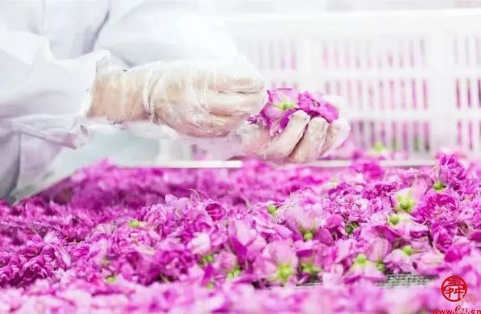 泉水人家最新视频,泉水人家济南