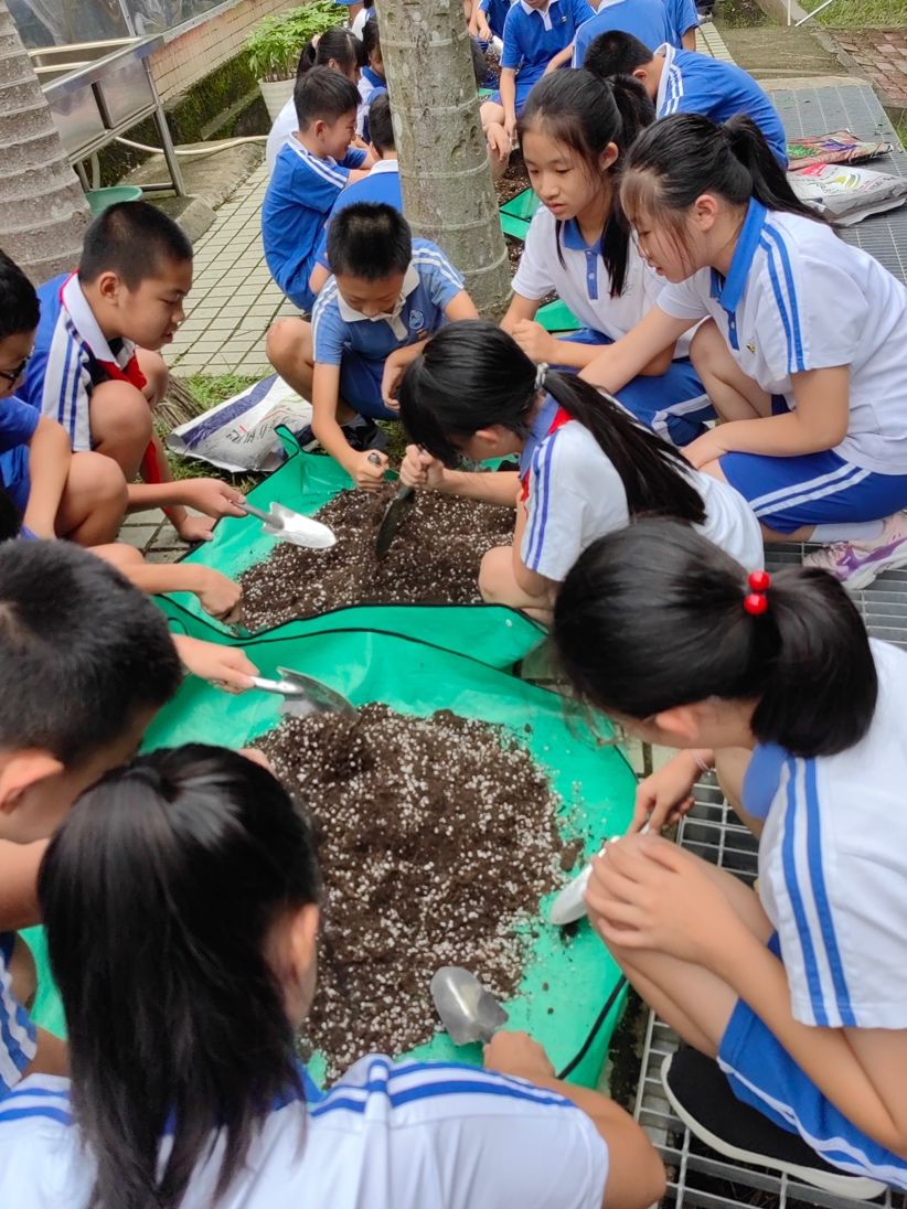 积极生长！项目式学习掀起西丽小学课程改革热潮