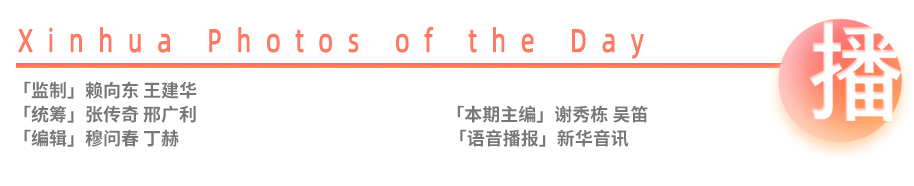 新华每日播报,新华每日播报5月6日