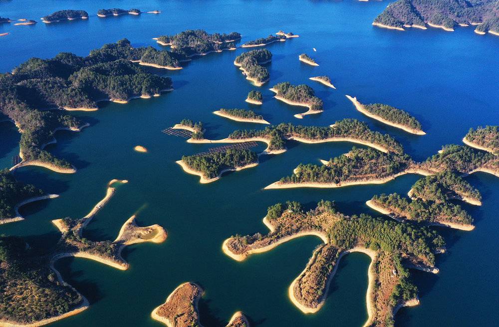 钟睒睒创业的挫折,钟睒睒营销演讲